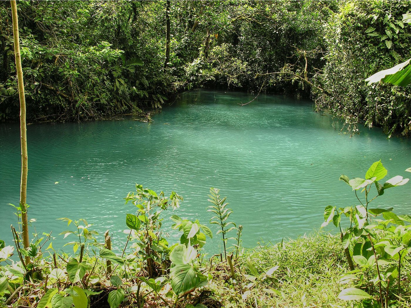 Rio celeste Costa Rica