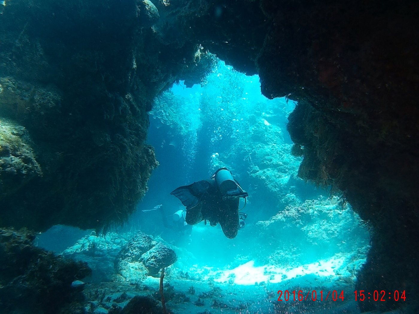 Palancar reef