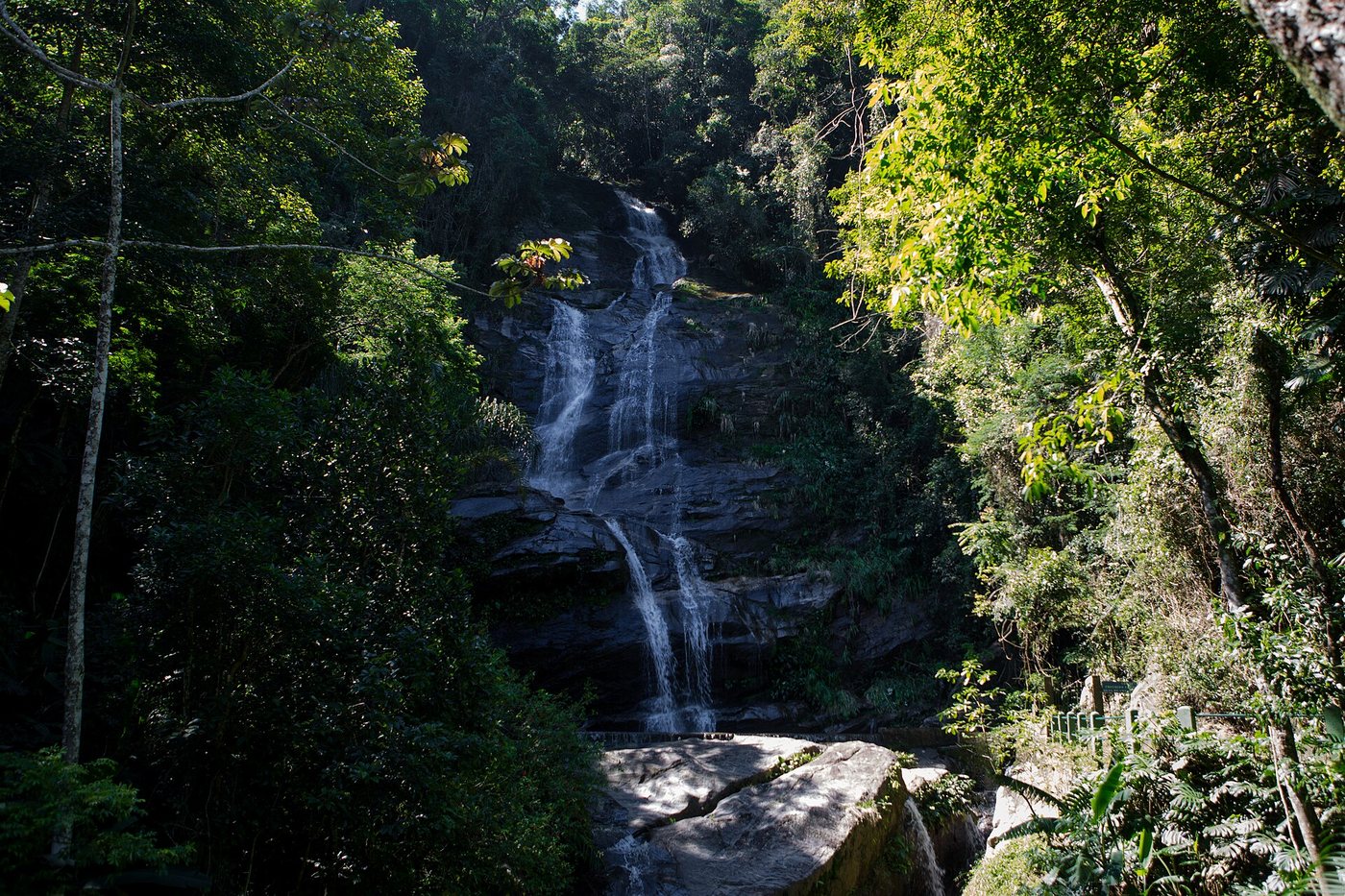 LuciolaVilella Floresta da Tijuca Rio de Janeiro RJ (40963773491)