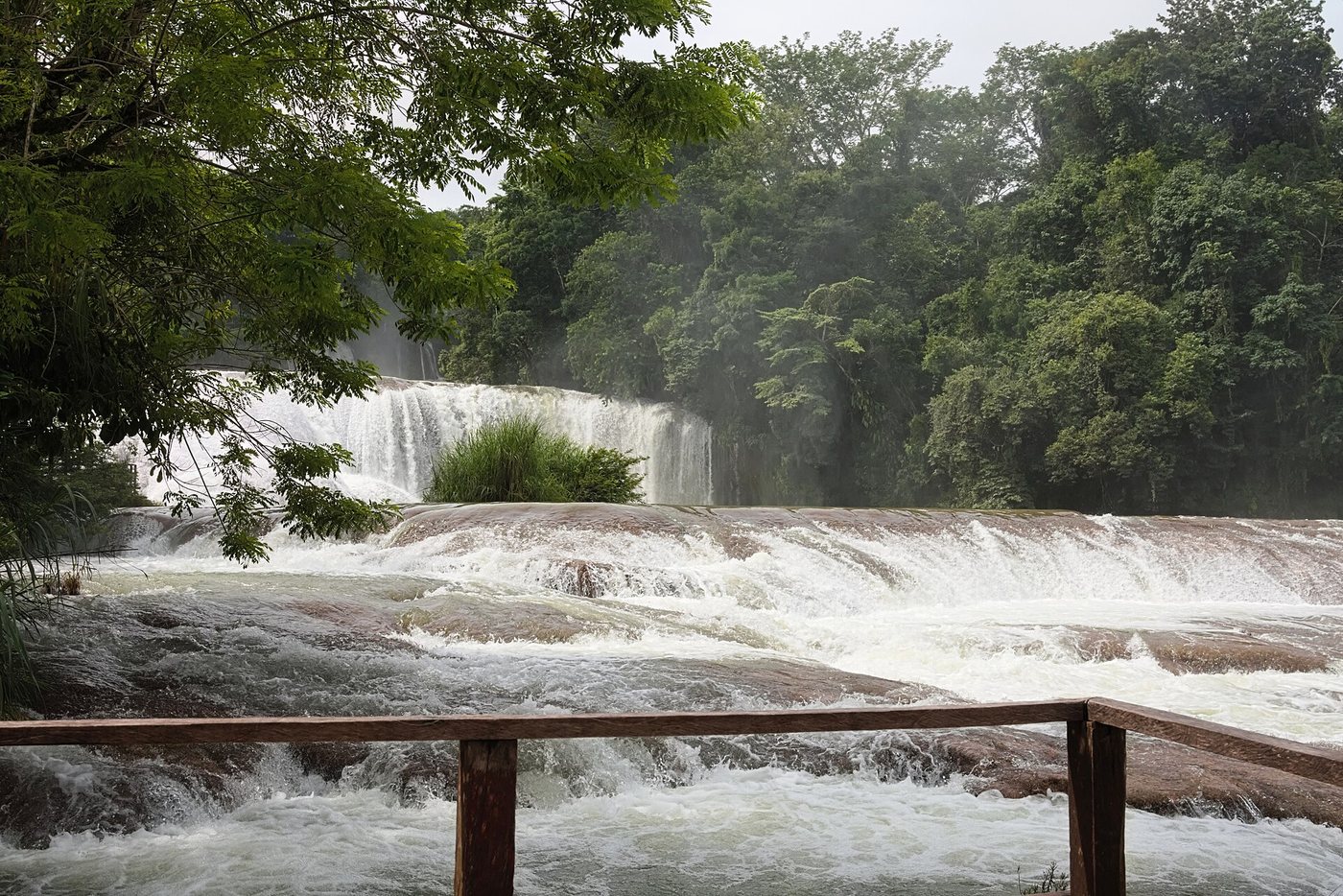 Cascadas de Agua Azul2020p1