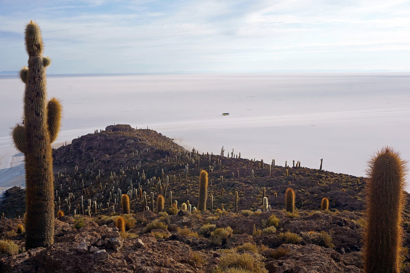 Isla Incahuasi Uyuni 2018