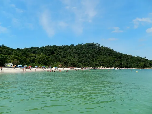 Ilha do Campeche e sua natureza exuberante