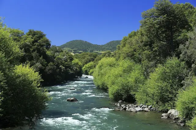 J25 029 Río Trancura