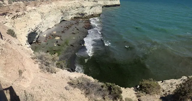 Reserva de lobos marinos de Punta Loma