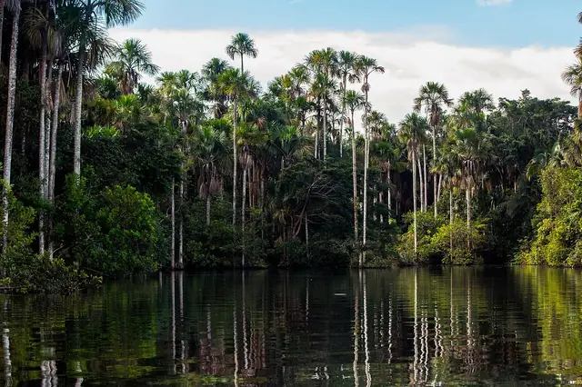 Lago Sandoval, Tambopata