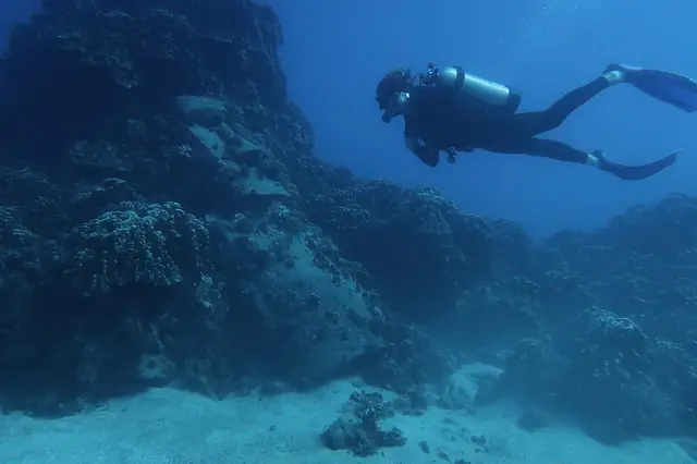 Buceo en Rapa Nui