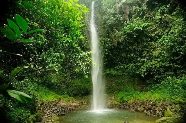 Cascada en la reserva Hola Vida · Waterfall in the Hola Vida reserve